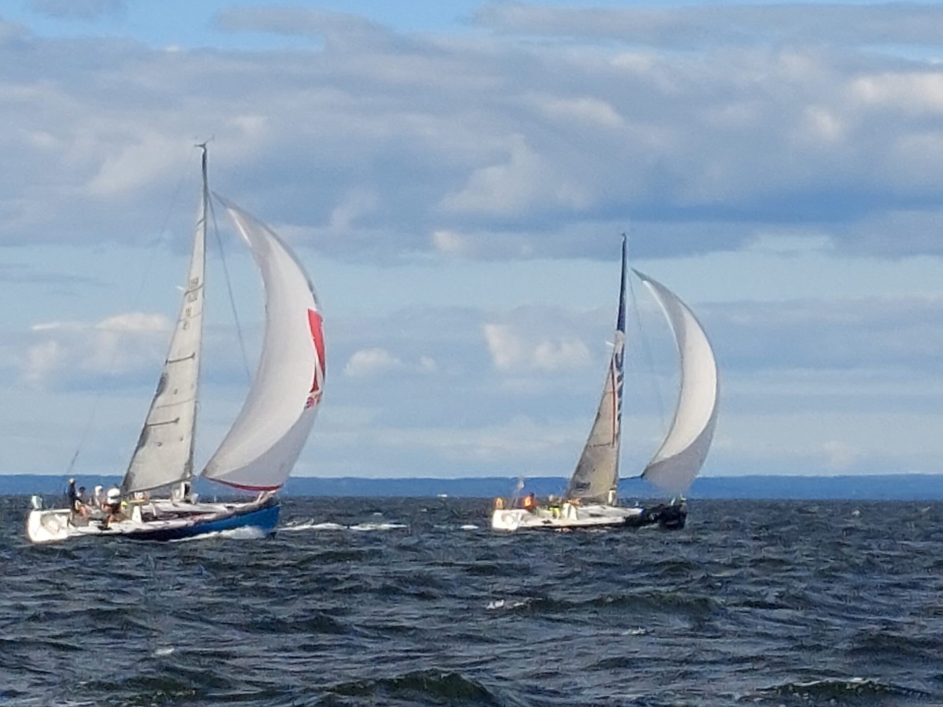 Two sailboats racing, showcasing sailing action